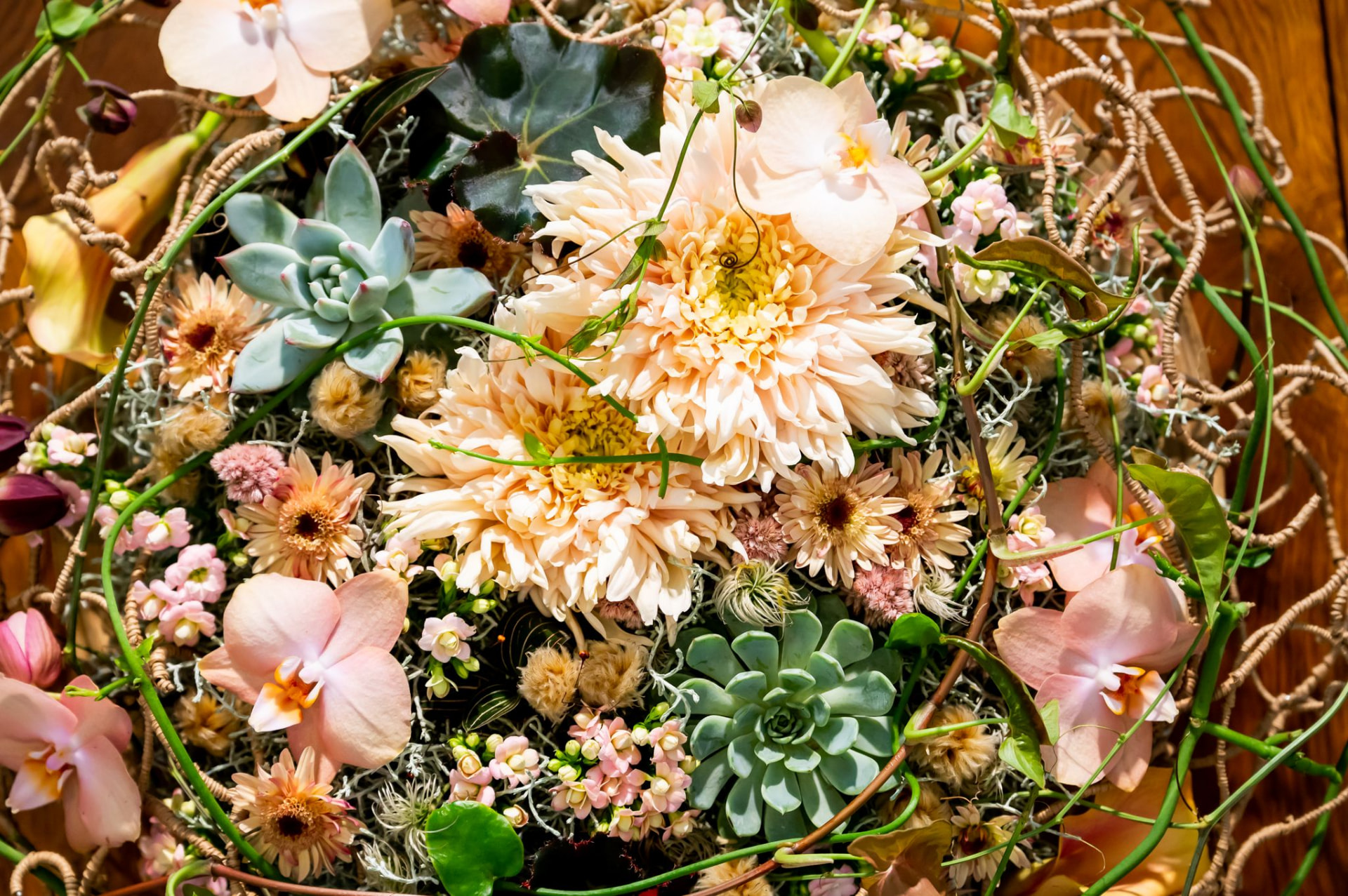 Wincx cut succulents with orchids and cream flowers in a festive arrangement