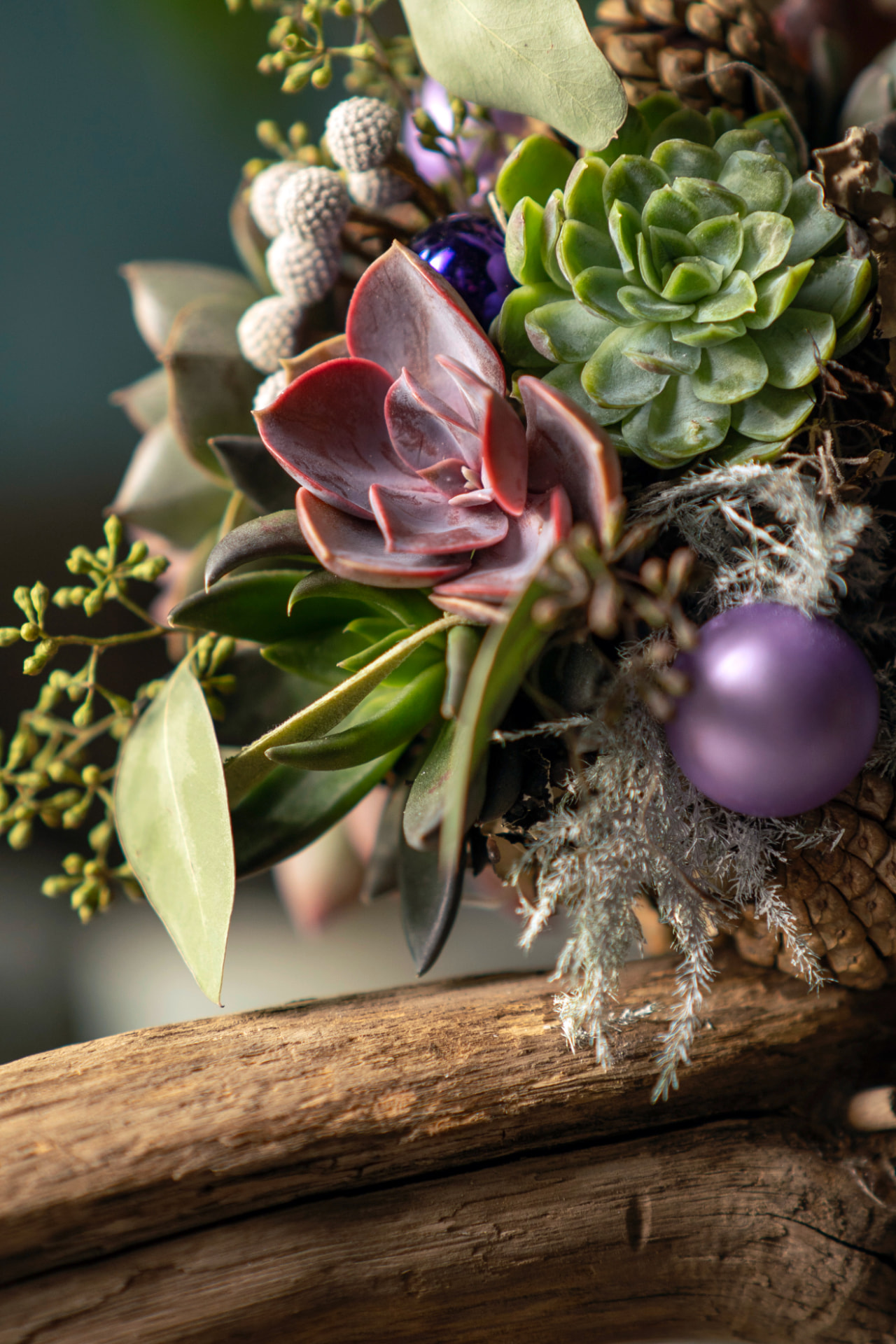 Wincx succulent detail from the festive POS arrangement